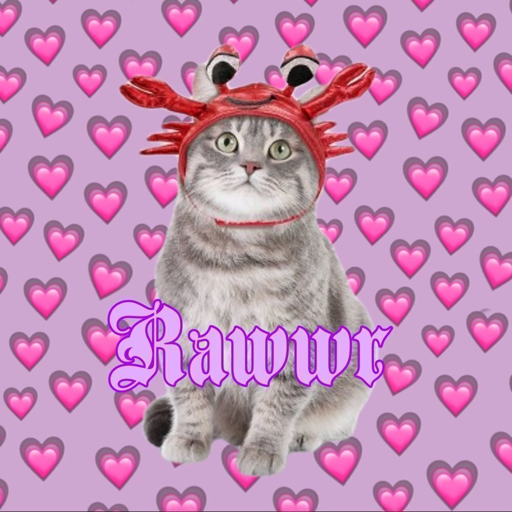 ⛔️ CLEARANCE ⛔️ Crabby Pet Head Accessories